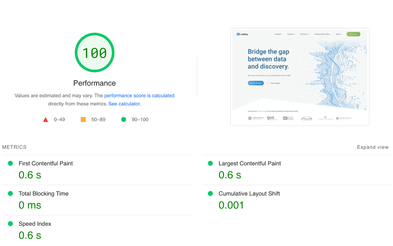 A speed test of the finished LabKey site: a performance score of 100